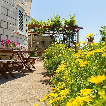 Sunshine Apartments Dubrovnik Dış mekan fotoğraf